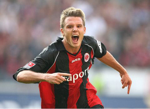 自然融入示 自然融入示